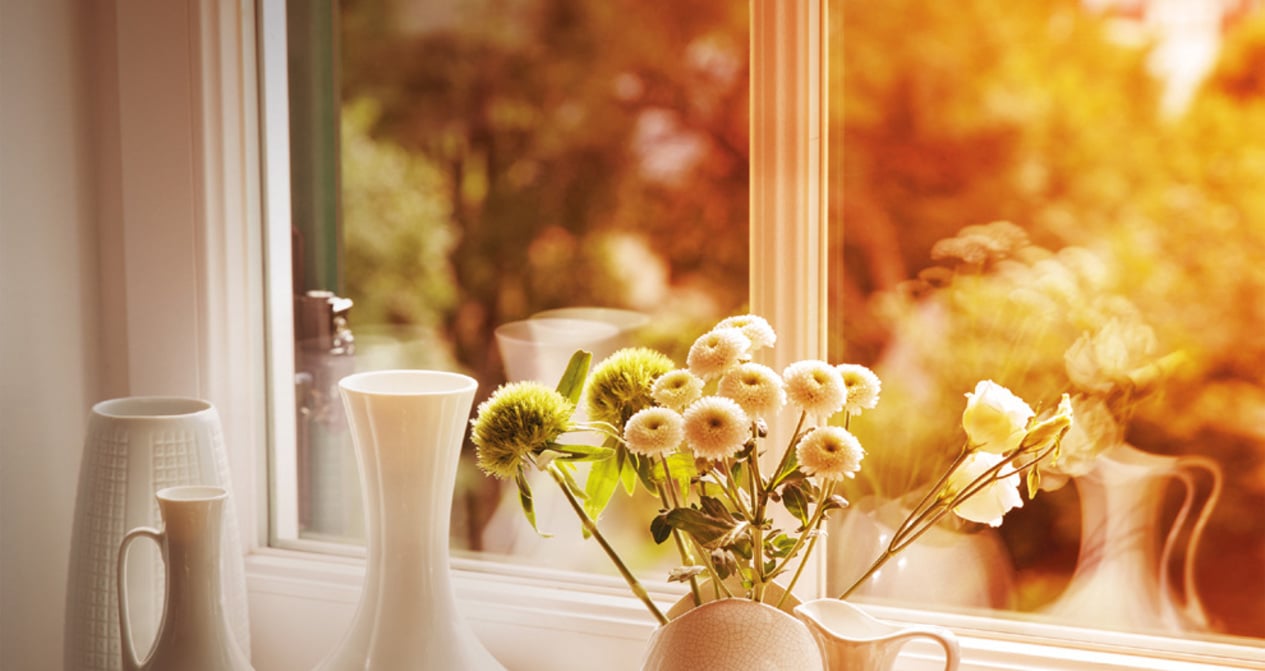 Sempre mais transparência