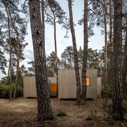 Maison en bois au milieu des arbres