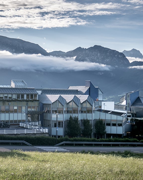 “A princípio, as janelas pareciam-me aborrecidas...”