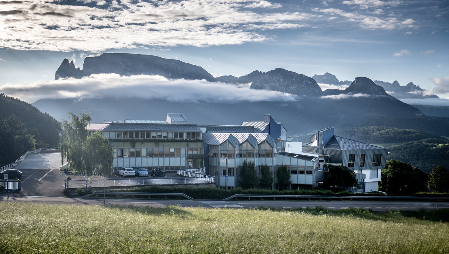 “A princípio, as janelas pareciam-me aborrecidas...”