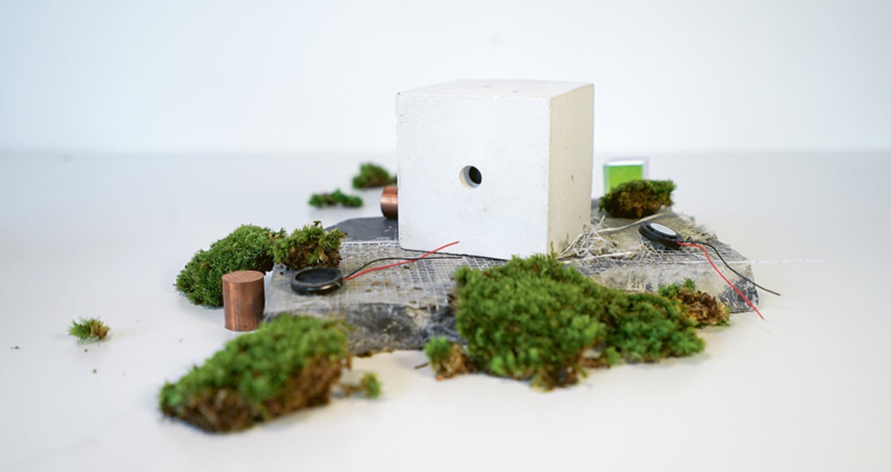 Finstral set to be carbon-neutral by 2030.