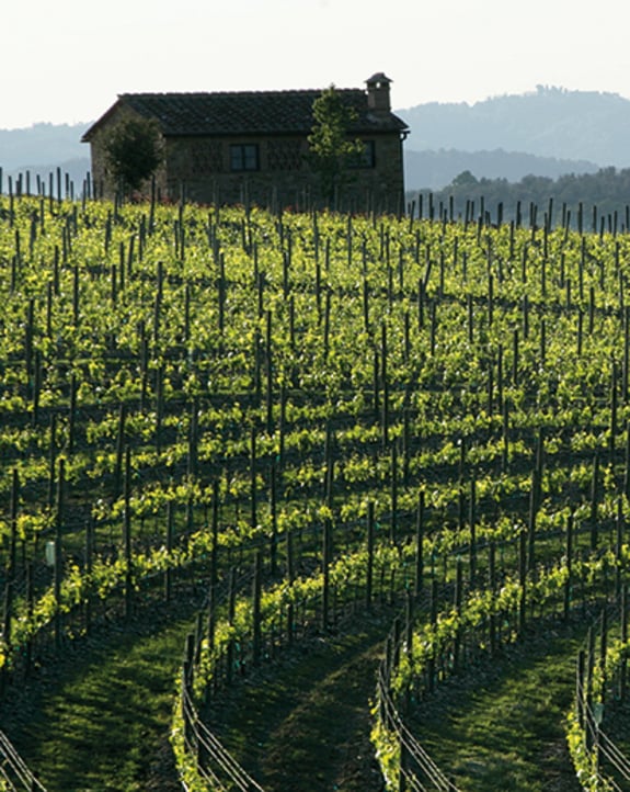 Aging well. New wine architectures in Italy