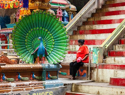 Wonders of the Modern World.