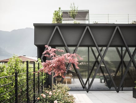 Form, function & far horizons.