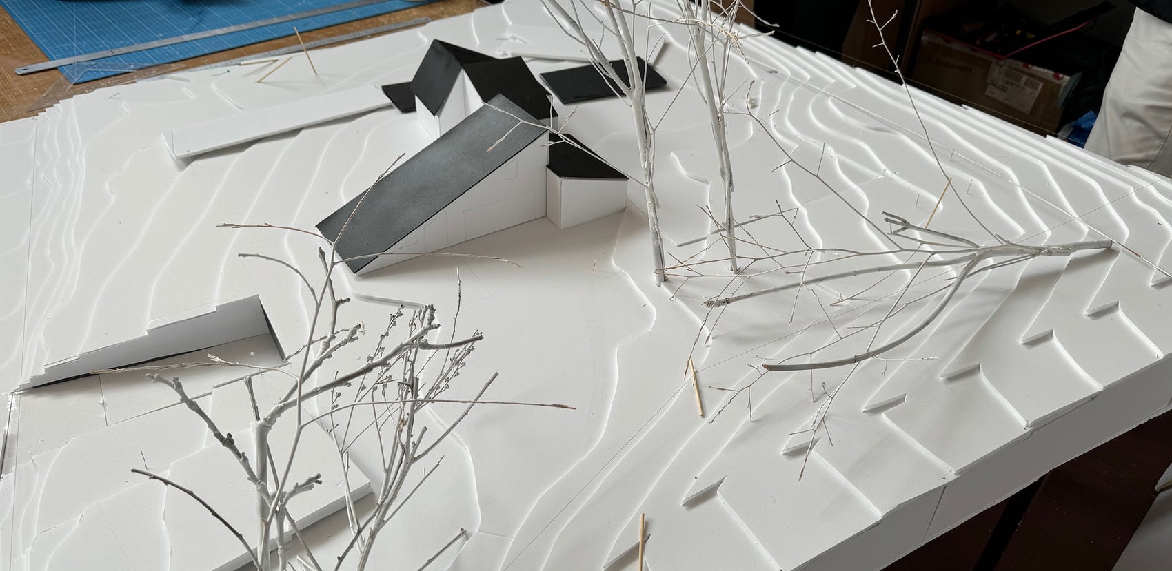 The structure of adaptation.