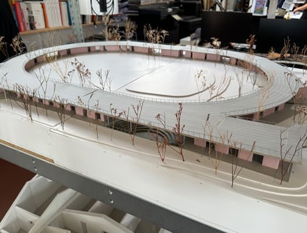 La estructura de la adaptación.